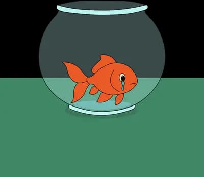 Orange goldfish swimming in a glass fishbowl on a green table