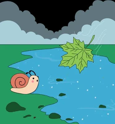 Snail crawling on a meadow beside a stream near a large green maple leaf