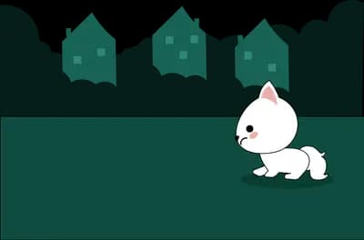White kitten sitting alone on a dark green field before a row of trees