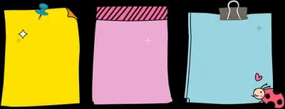 Three coloured notepads with a ladybug