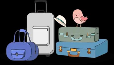 Set of suitcases with a small bird on top