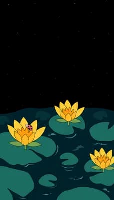 Yellow water lilies floating on a dark green pond with lily pads