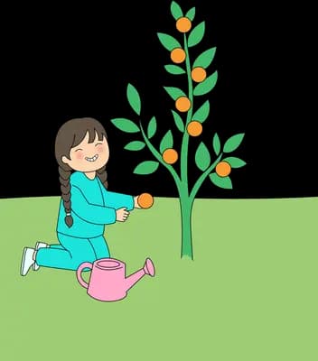 Girl in teal reaching up to pick an orange from a fruiting tree