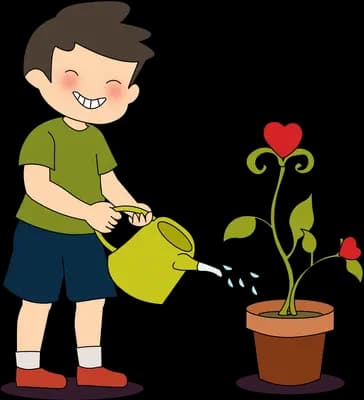 Boy pouring water onto a potted rose that has grown a second bloom