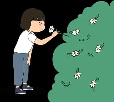 Boy reaching toward a flowering hedge