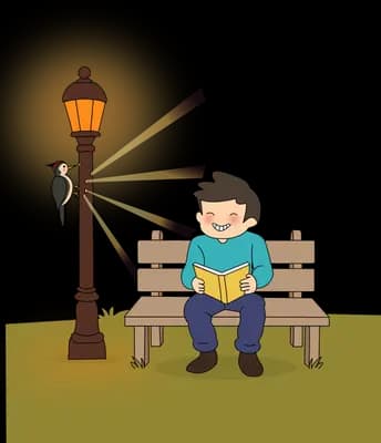 Boy reading on a park bench under a glowing street lamp at night