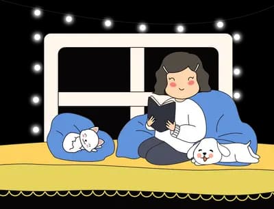 Couple lying in bed with a cat by a window
