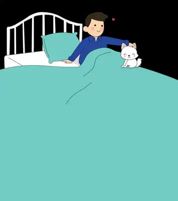 Man sitting up in a big teal bed stroking a white cat