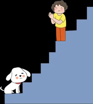 Boy standing on a blue staircase looking back at a white dog at the bottom