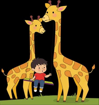 Boy swinging on a plank strung between two giraffes