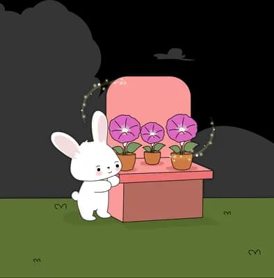 Girl in sunglasses lounging in a pink armchair with plants and a cat