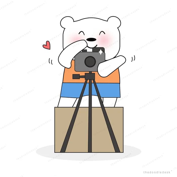 Bear photographing with a camera on a tripod
