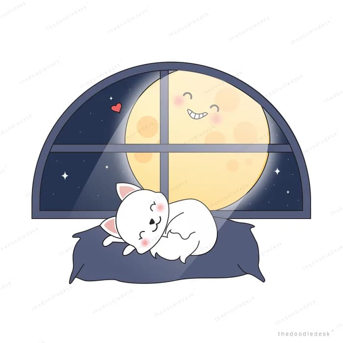 Cat asleep on a cushion by an arched moonlit window