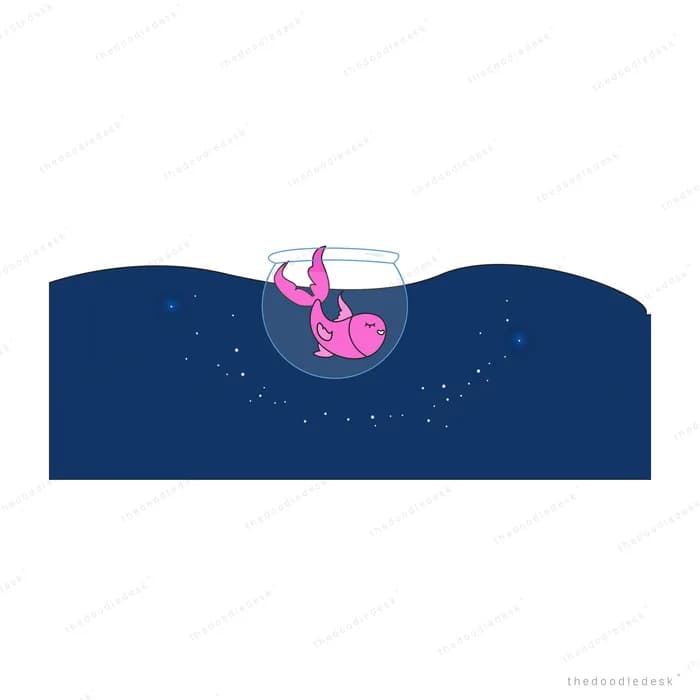 Fish in a small bowl floating on a dark sea