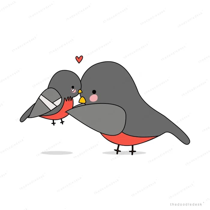 Grey bird lying down with a heart