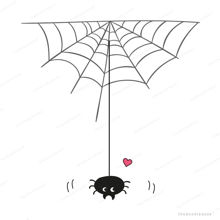 Spider descending from a large web