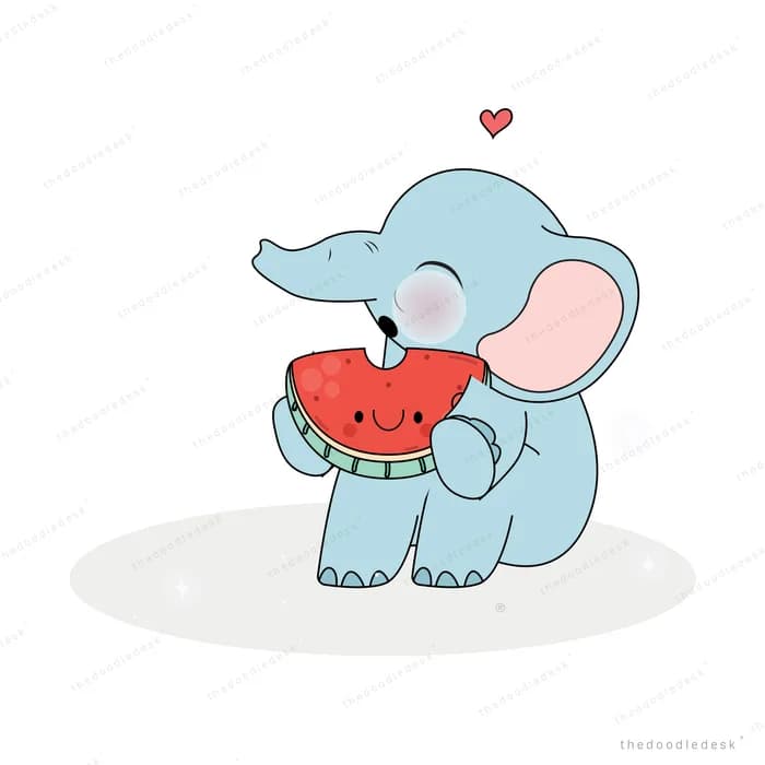 Elephant eating a slice of watermelon