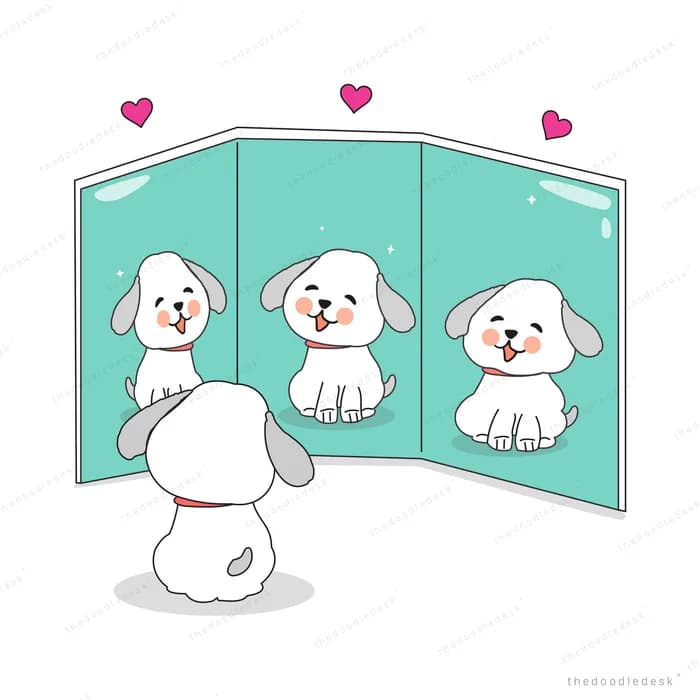 Dog looking at three mirror panels of itself
