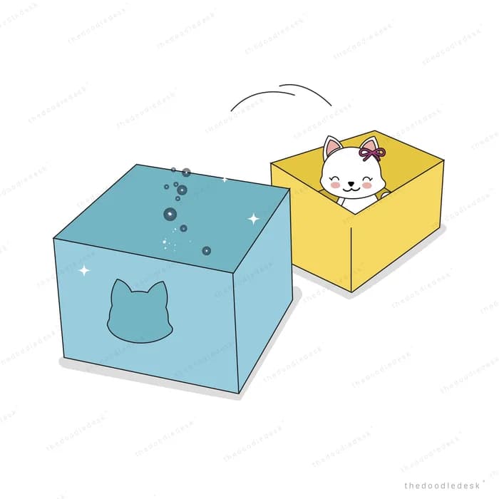 Cat sitting in one of two cardboard boxes