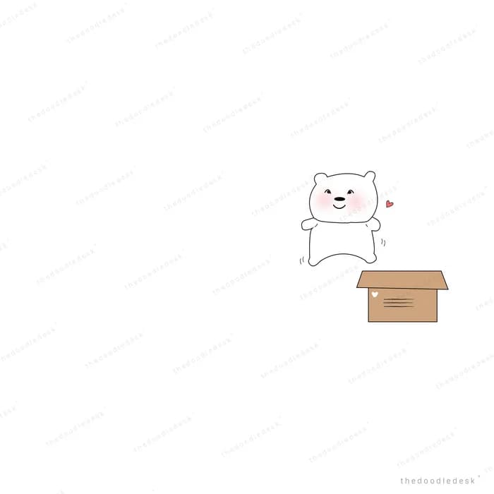 Bear standing behind an open cardboard box
