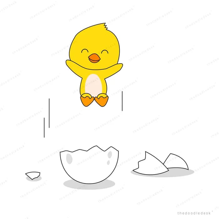 Chick standing above its broken eggshell