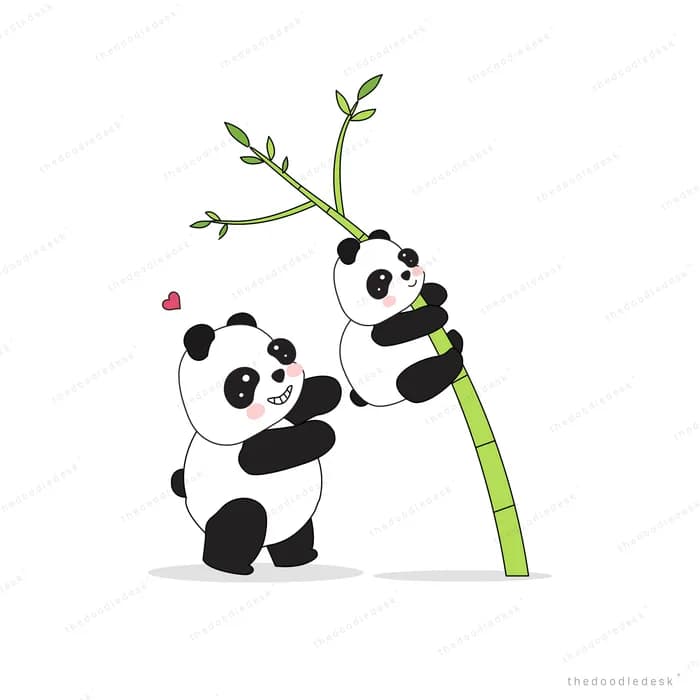 Pandas helping each other climb a bamboo stalk