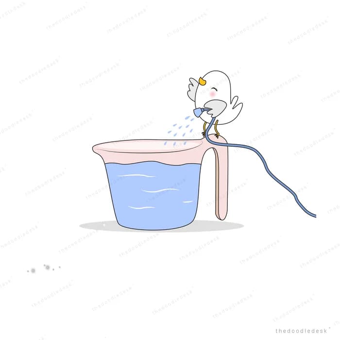 White bird perched on a hose spraying water into a bucket