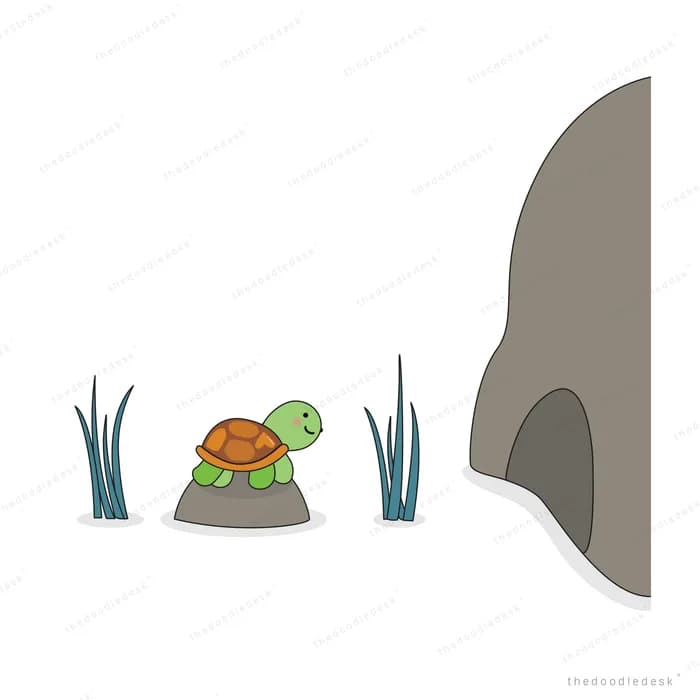 Turtle resting on a rock between grass tufts beside a large grey boulder