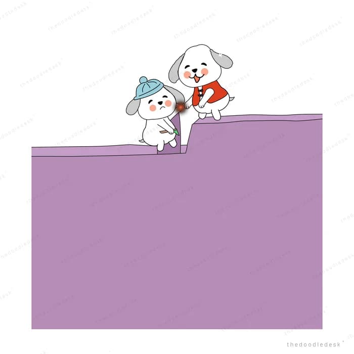 Two white dogs in a party hat and cape peeking over the top of a purple panel