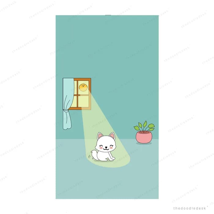 White cat sitting in a beam of light from a window beside a potted plant