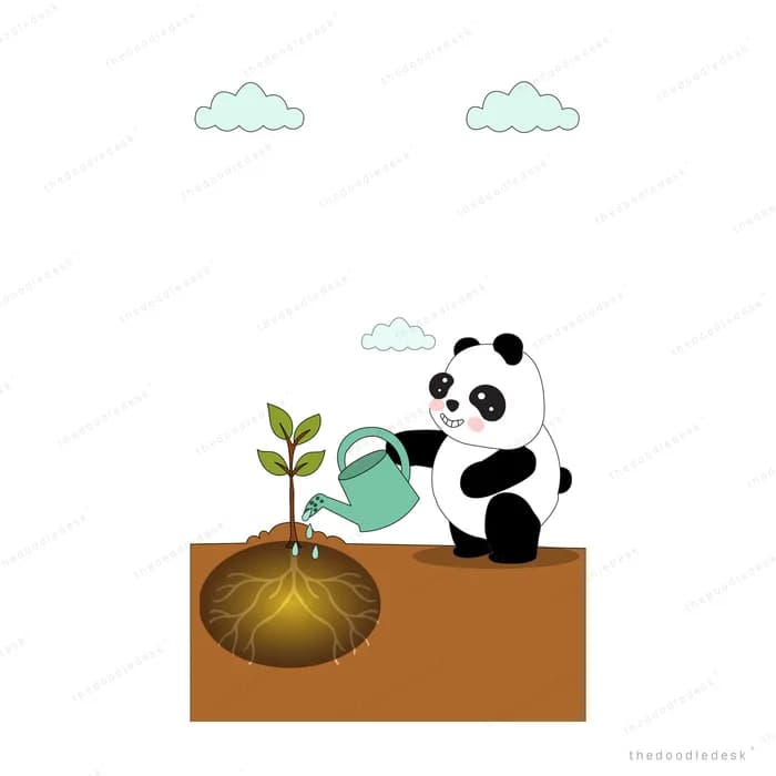 Panda watering a sapling whose roots spread below the soil