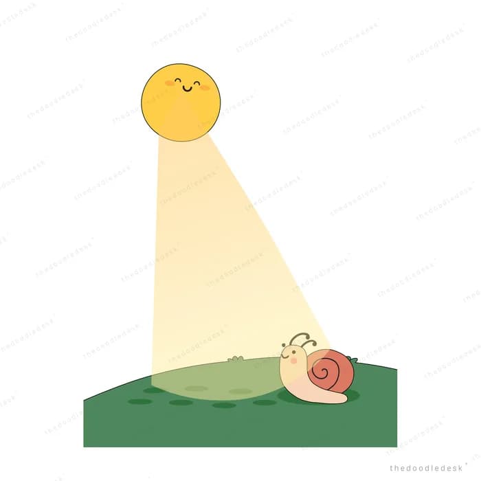 Snail crawling along a big green leaf inside a beam of light from a smiling sun