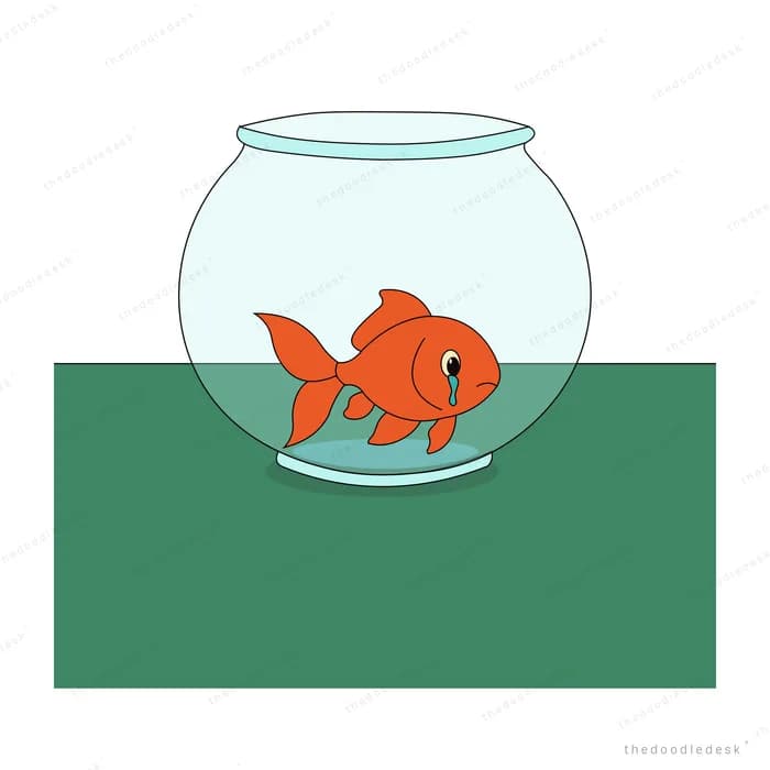 Orange goldfish swimming in a glass fishbowl on a green table