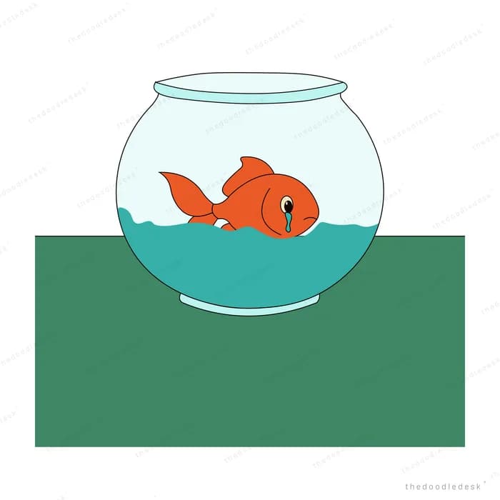 Large orange goldfish filling a glass fishbowl on a green table