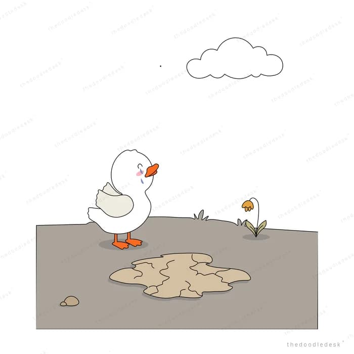 White duck crying over a stranded fish on cracked dry grey ground