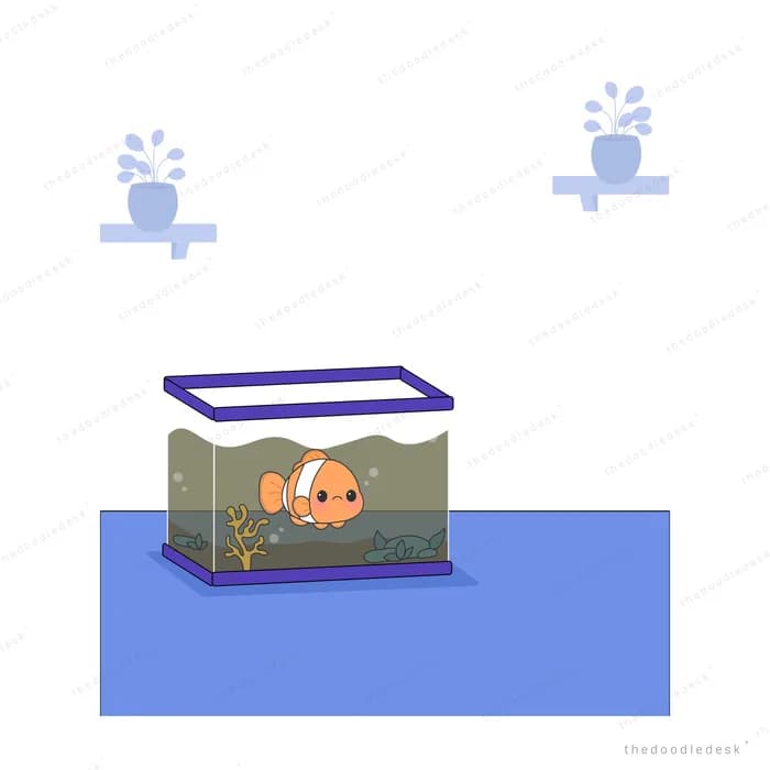 Clownfish alone in a glass tank on a blue platform