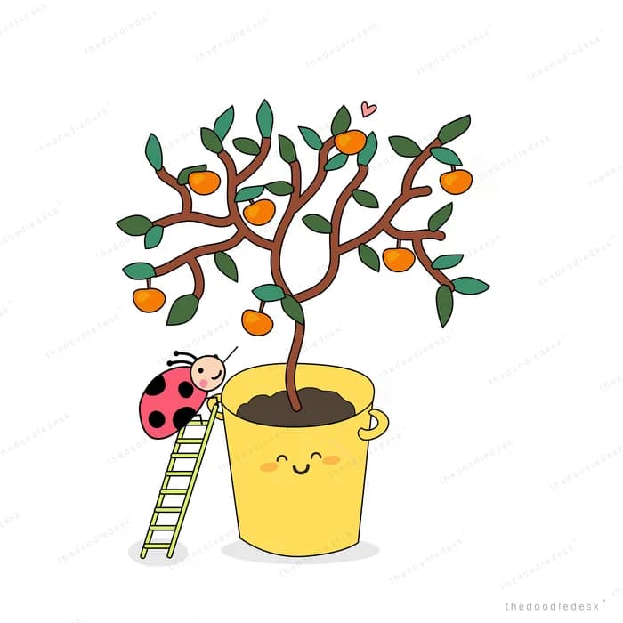 Potted orange tree with a ladder leaning against it