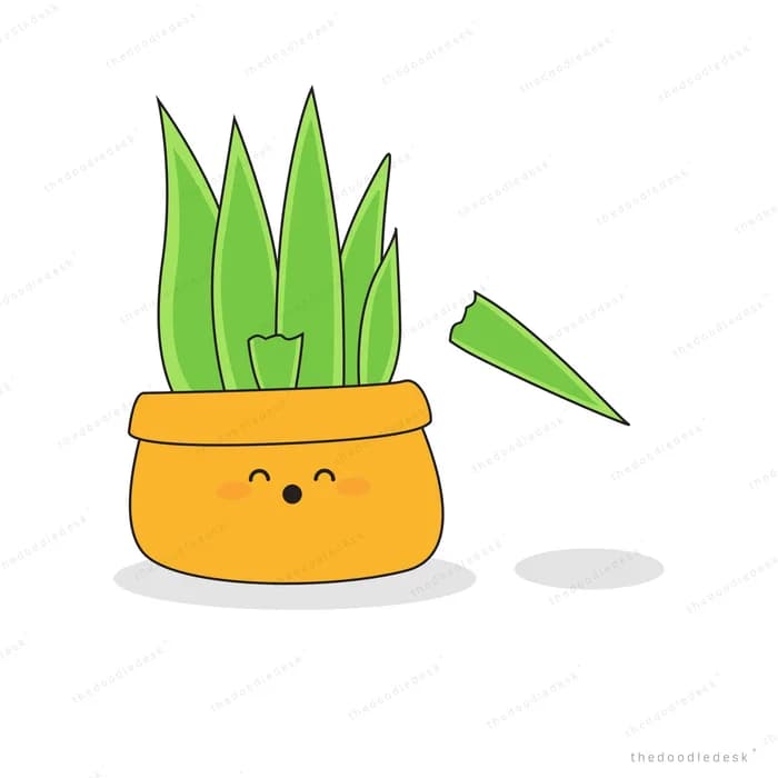 Smiling yellow plant pot holding a tall snake plant with one loose leaf
