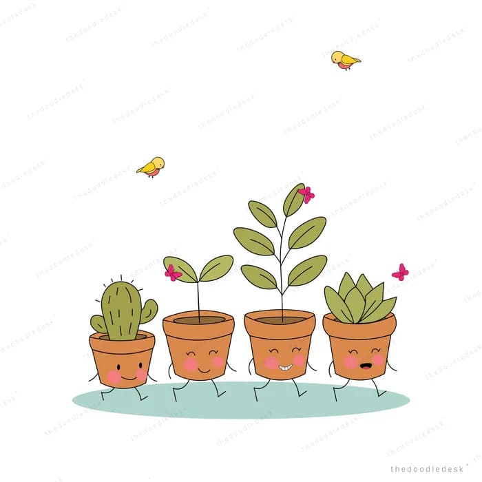 Row of terracotta pots holding seedlings and succulents with drifting leaves