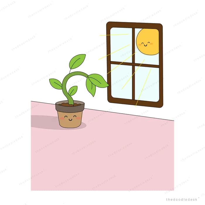 Potted seedling on a pink ledge beside a window with the sun outside