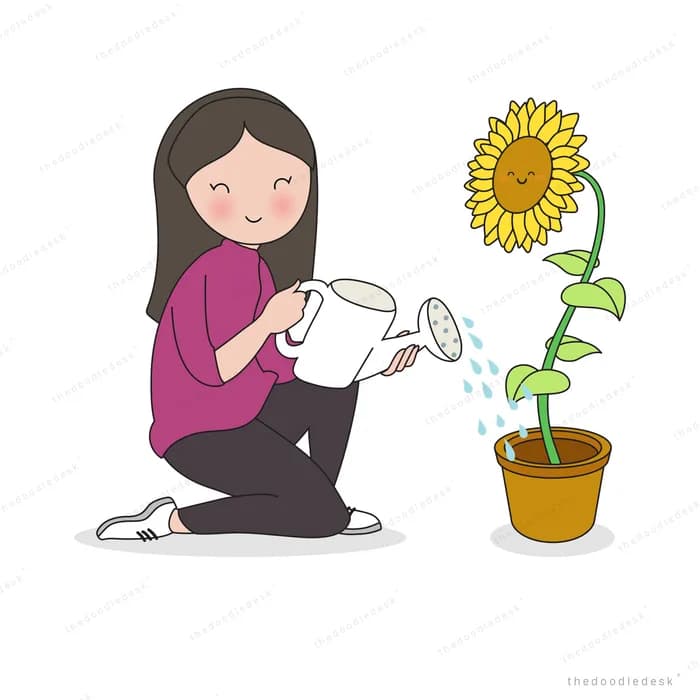 Woman kneeling to water a tall potted sunflower with a watering can