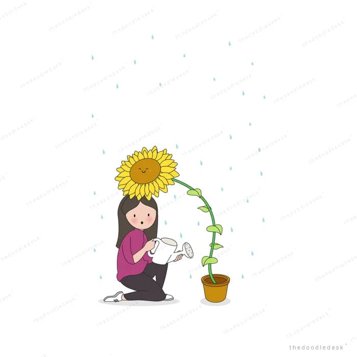 Woman kneeling under a drooping sunflower watering it from a can