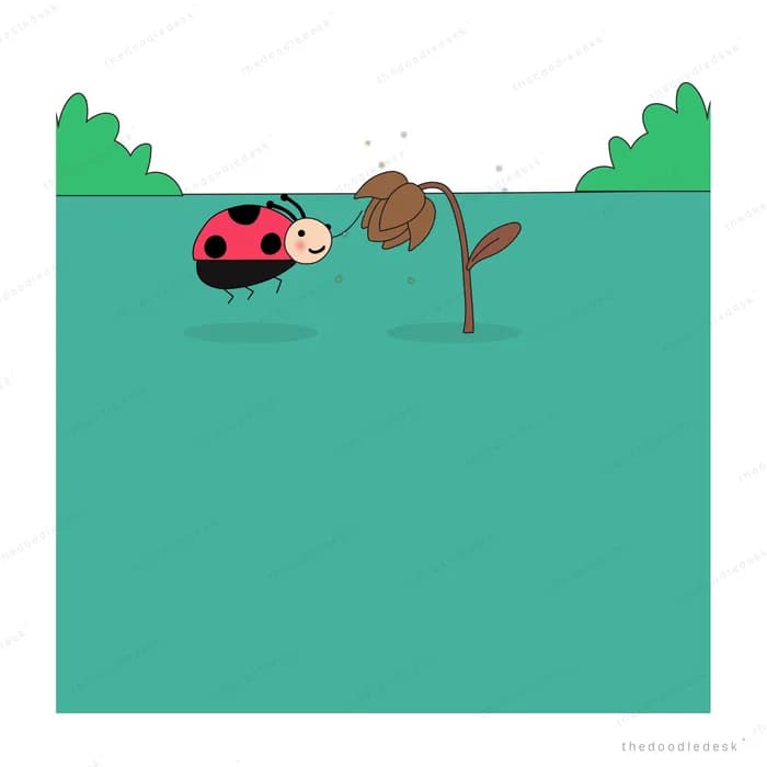 Ladybug beside a sprouting seedling in the soil below a green lawn