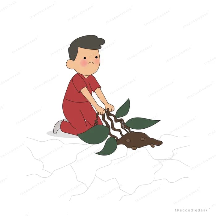 Boy in red kneeling to pull a leafy plant with its roots out of cracked dry ground