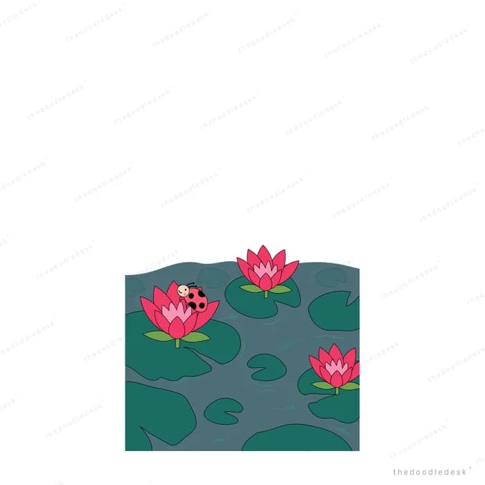Pink lotus blooms and a ladybug on a dark pond with lily pads