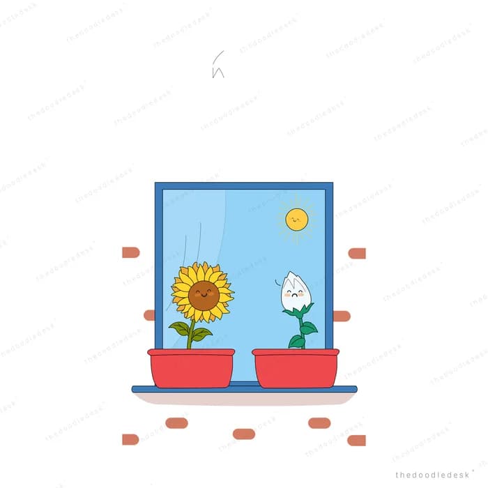 Sunflower and white bloom in red window boxes at a sunlit window