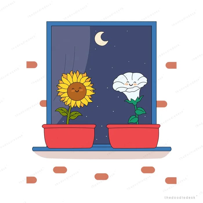 Sunflower and white bloom in red window boxes under a crescent moon