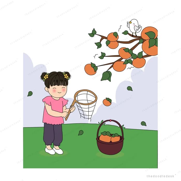 Girl catching falling persimmons in her net with fruit filling the basket