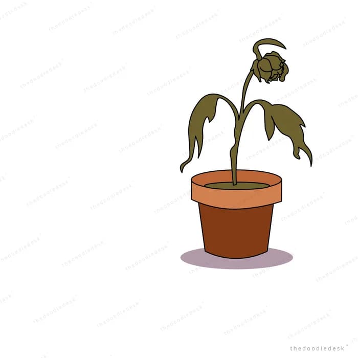 Withered plant drooping in a terracotta pot as a leaf falls away