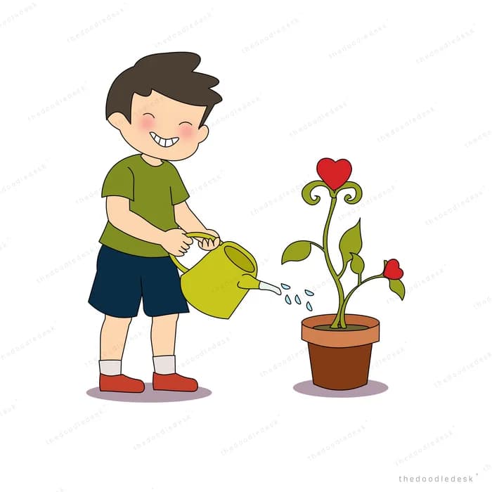 Boy pouring water onto a potted rose that has grown a second bloom